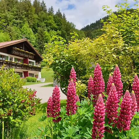 Gschwenderhaus Ferienwohnungen Oberstdorf Room photo